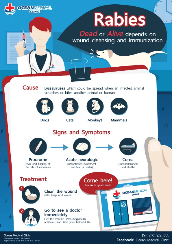 Rabies Information Infographic